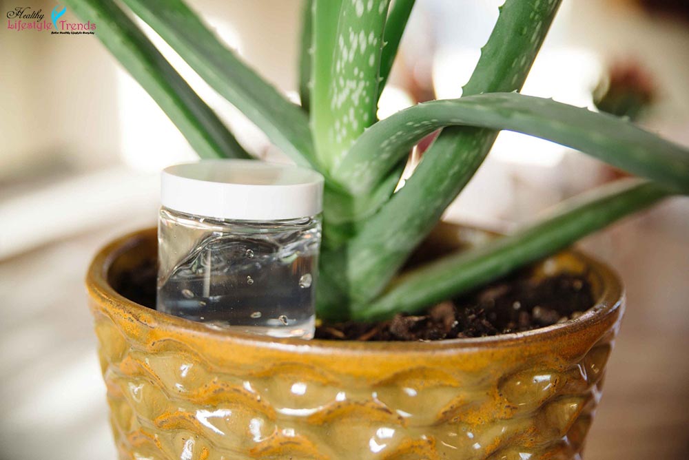 Aloe Vera Gel