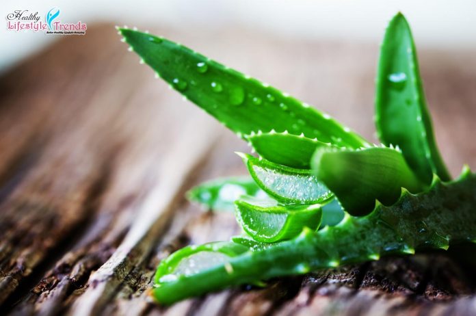 Aloe Vera Health Benefits