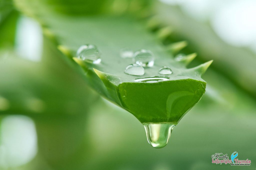 Benefits of Aloe Vera