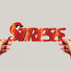 Stress control