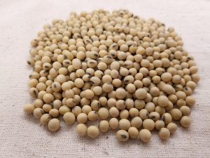 Body sculpting diet soybean