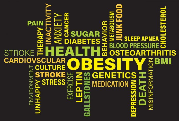 Obesity Health Issues