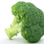 Vegetables Broccoli