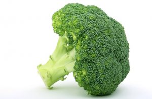 Vegetables Broccoli