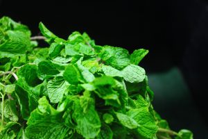 Mint Leaves