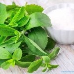 Stevia to replace Sugar