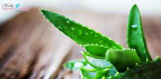 Aloe Vera Health Benefits