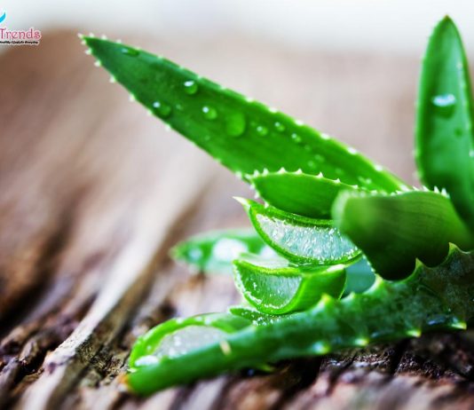 Aloe Vera Health Benefits