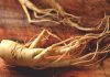 Health Benefits of Ginseng