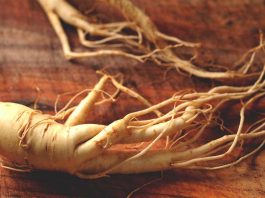 Health Benefits of Ginseng