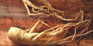 Health Benefits of Ginseng