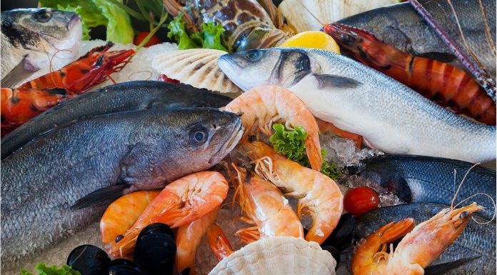 Health Benefits and Risks of Sea Food Health Benefits and Risks of Sea Food