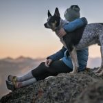 Pet Therapy