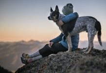 Pet Therapy