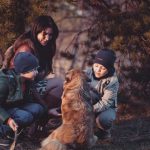 Pet Therapy