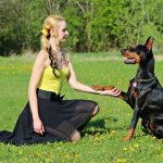 Pet Therapy