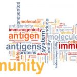 Immune System