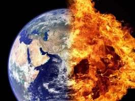 Health Effects of Ozone Depletion
