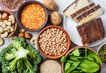 Amazing Sources of Vegan Protein