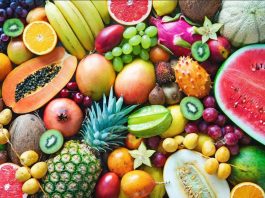 Healthy Life Style Trends