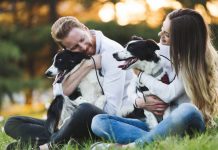 ANIMALS ARE GOOD FOR OUR HEART