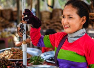 Top 7 Bizarre Local Dishes You Have to Try
