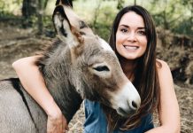 What Donkeys Can Teach Us About Being Human!!!!