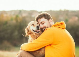 ARE YOUR HOUSEPLANTS PET FRIENDLY?