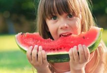 What is the Eatwell plate?