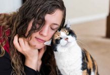 How Owning a Pet Can Reduce Stress