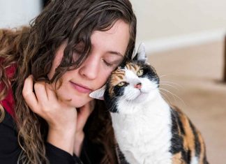 How Owning a Pet Can Reduce Stress